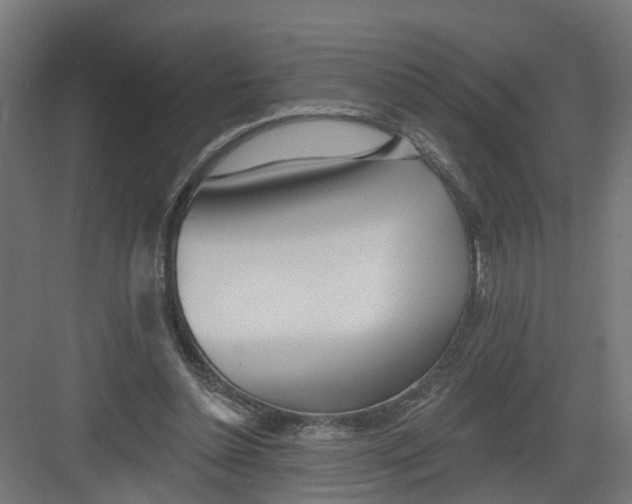 X0000082160348200702092223