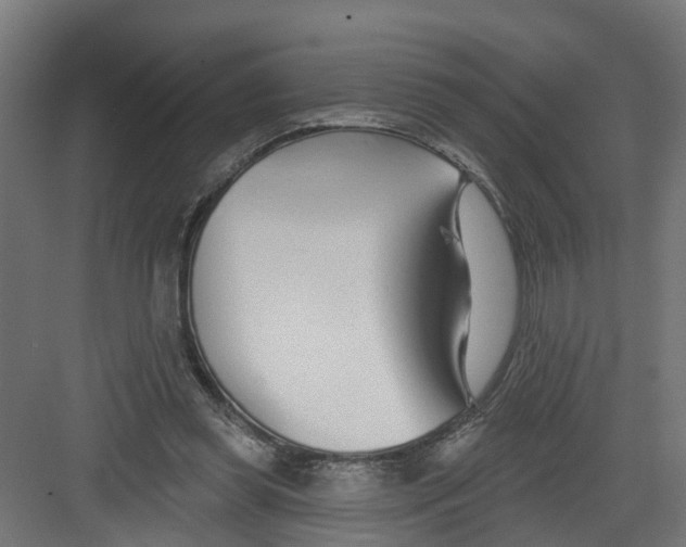 X0000082160349200702092223