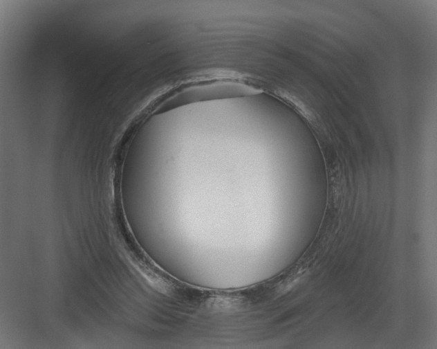 X0000082160350200702092223