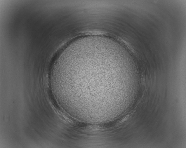 X0000082160351200702092223