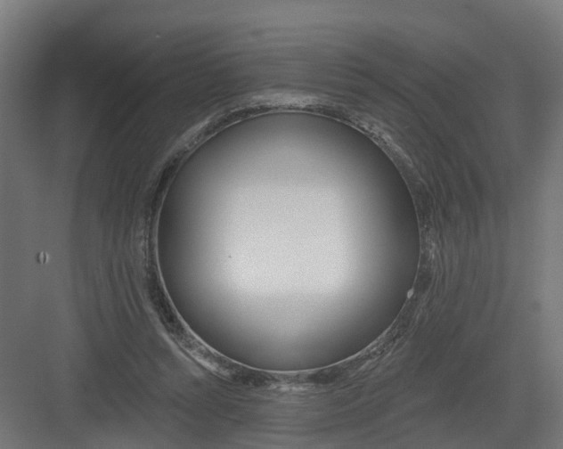 X0000082160352200702092223