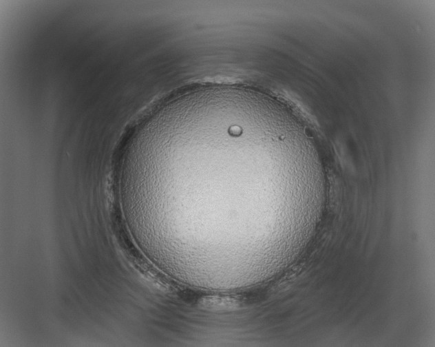 X0000082160354200702092223