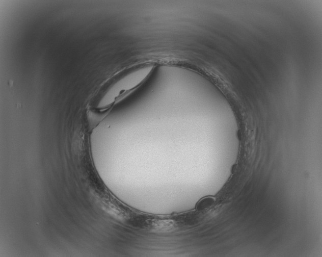 X0000082160355200702092223