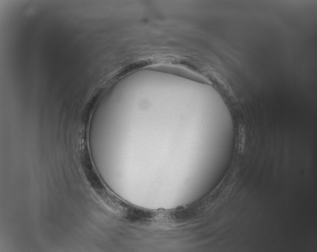 X0000082160356200702092223