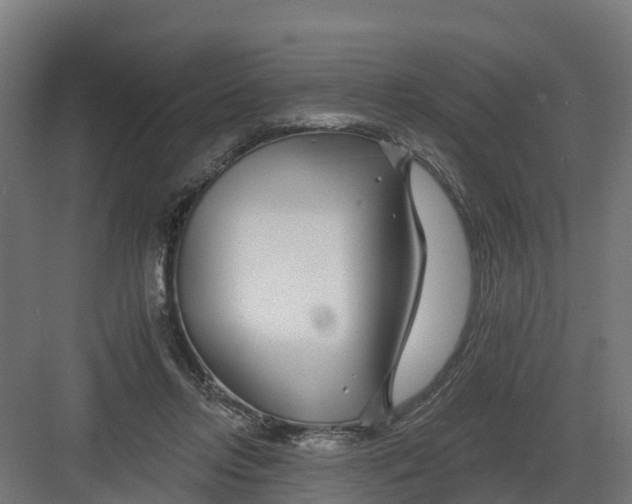 X0000082160358200702092223