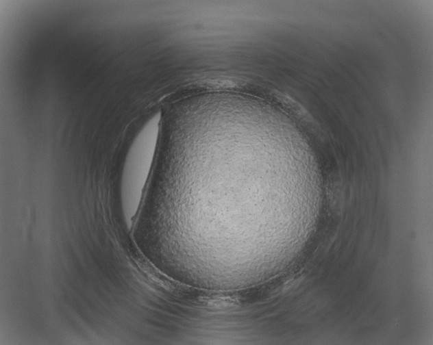 X0000082160359200702092223