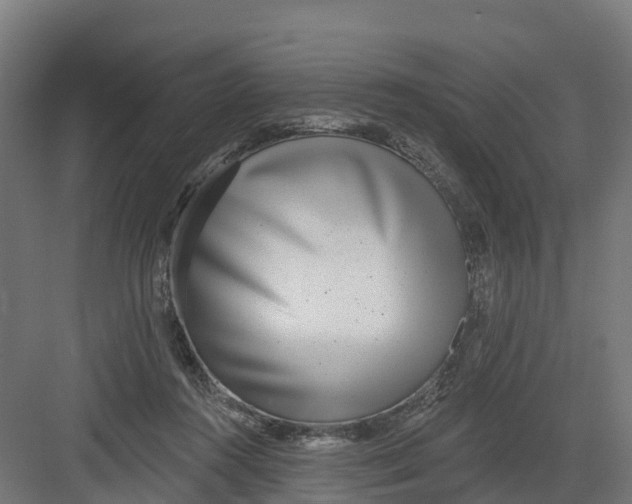 X0000082160360200702092223