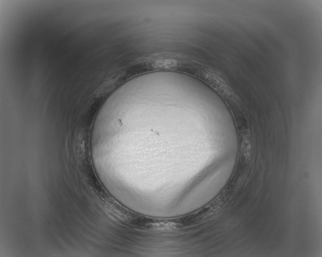 X0000082160363200702092224