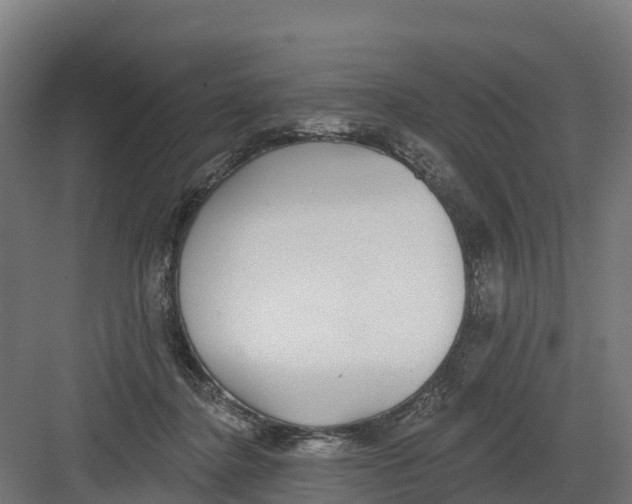 X0000082160364200702092224