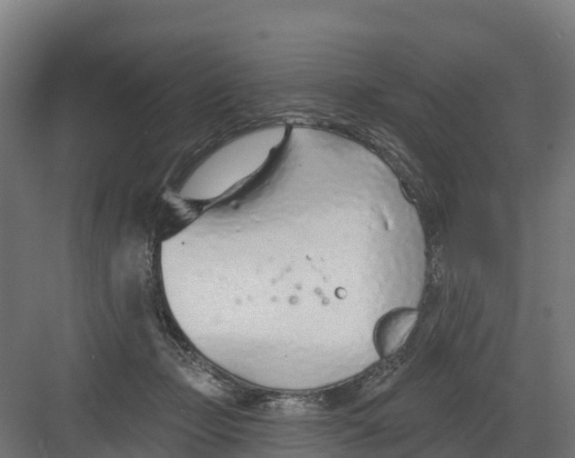 X0000082160365200702092224