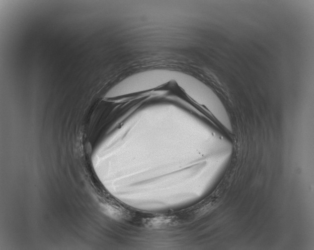 X0000082160366200702092224