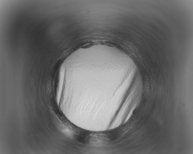 X0000082160367200702092224