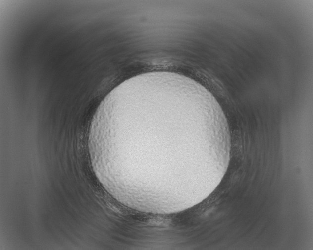 X0000082160369200702092224