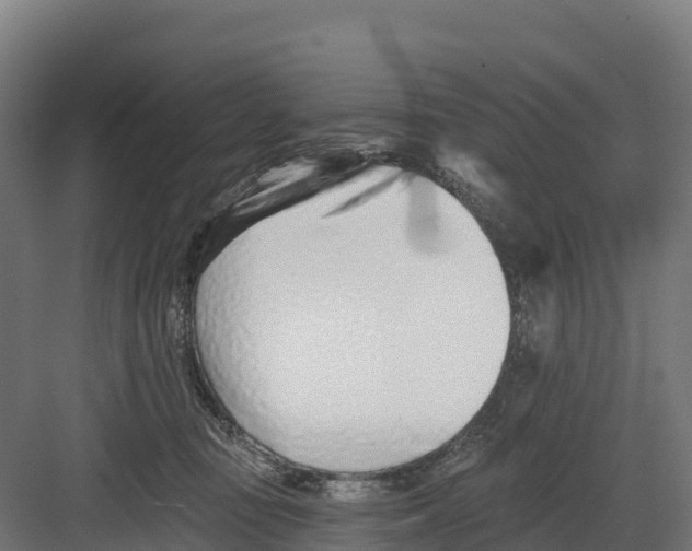 X0000082160371200702092224