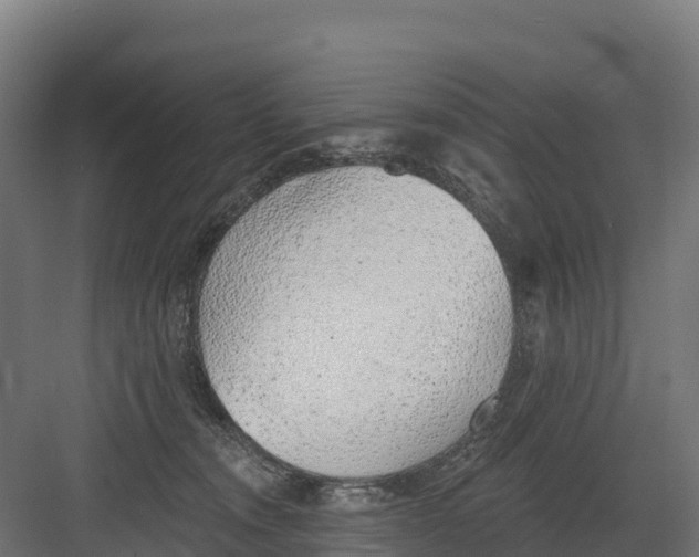 X0000082160372200702092224