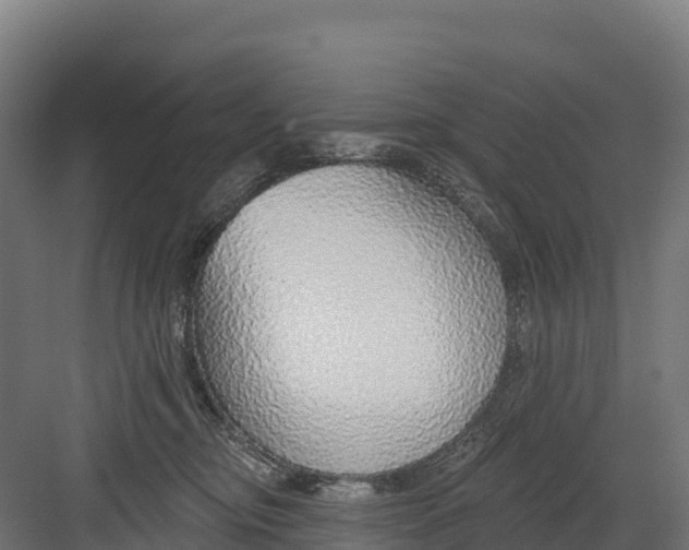 X0000082160374200702092224