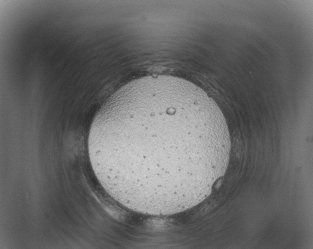 X0000082160375200702092224