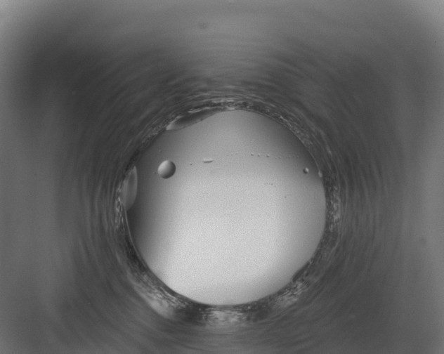 X0000082160376200702092224