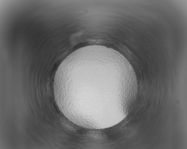 X0000082160377200702092224