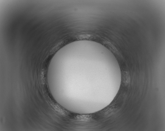 X0000082160378200702092224