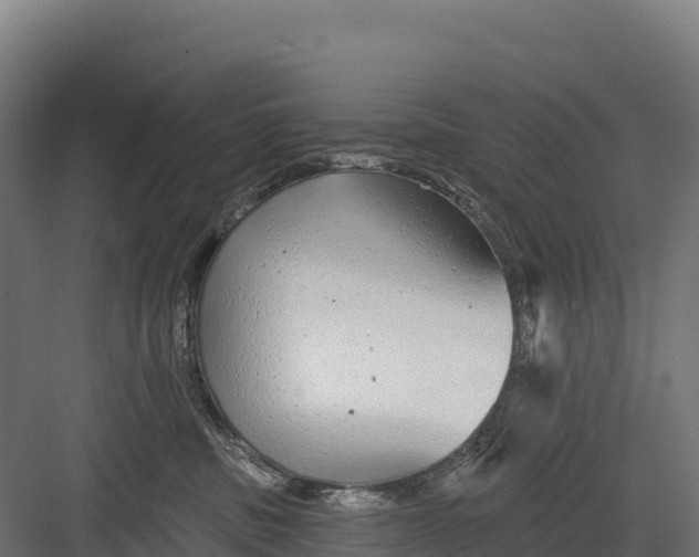 X0000082160379200702092224