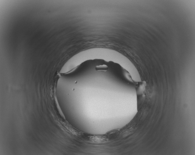 X0000082160380200702092224