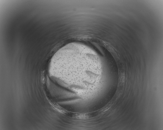 X0000082160383200702092224