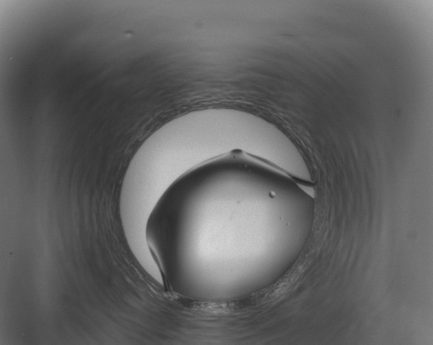 X0000082160384200702092224