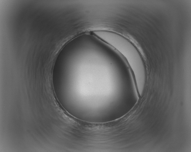 X0000082160385200702092223