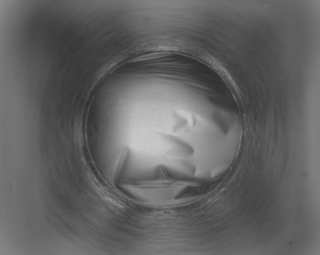 X0000082160386200702092223