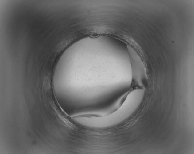 X0000082160393200702092223