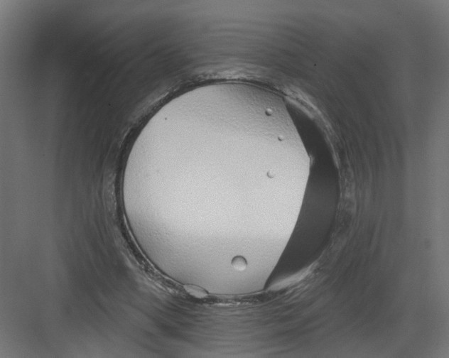 X0000082160394200702092223