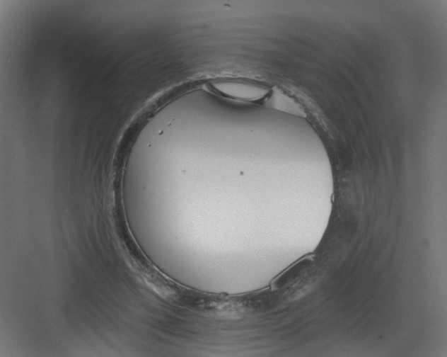 X0000082160395200702092223