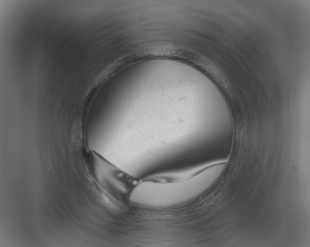 X0000082160397200702092223