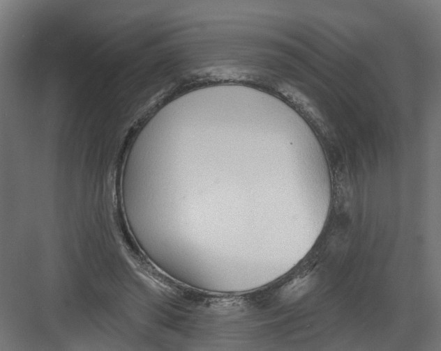 X0000082160398200702092223