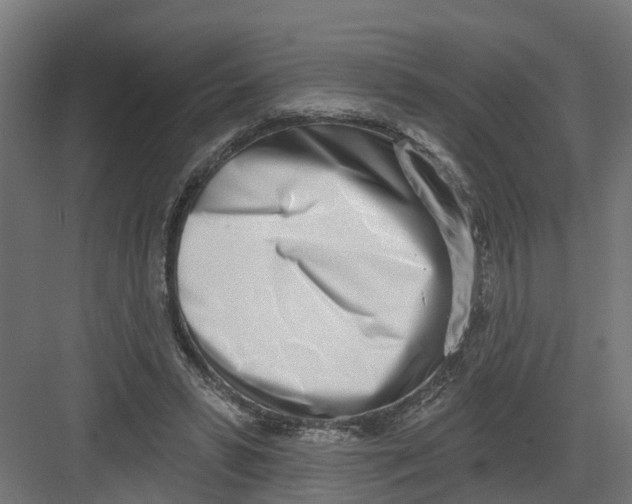 X0000082160399200702092223