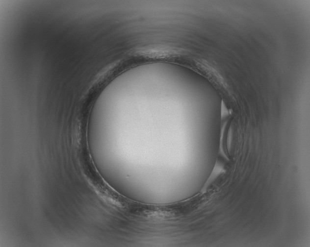 X0000082160400200702092223