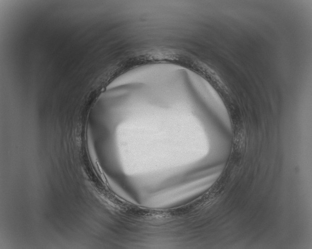 X0000082160402200702092223