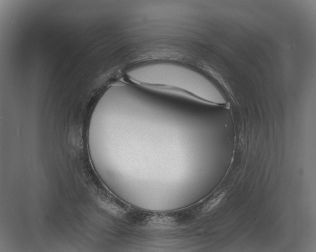 X0000082160403200702092223