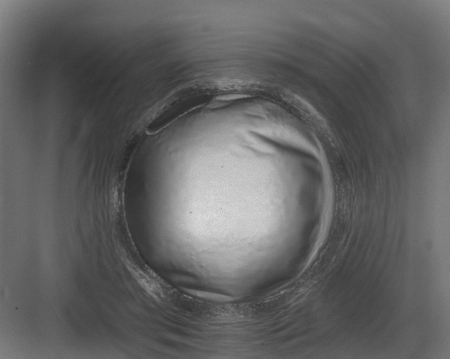 X0000082160405200702092223