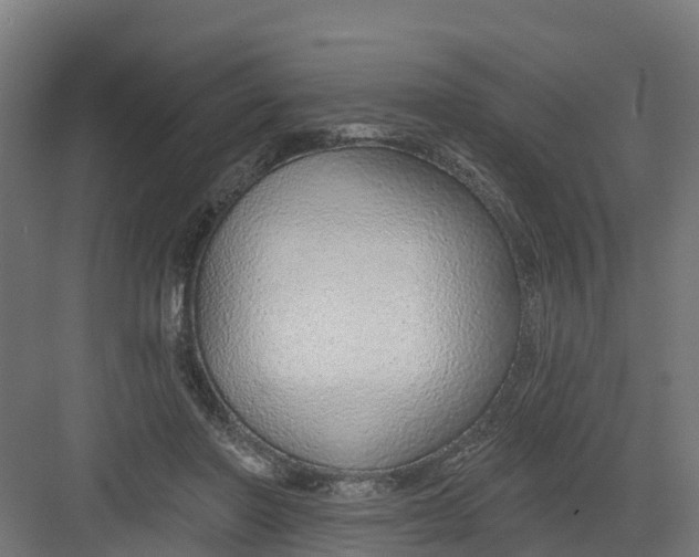 X0000082160406200702092223