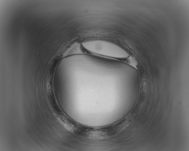 X0000082160408200702092223