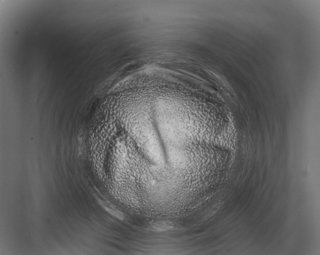 X0000082160409200702092223