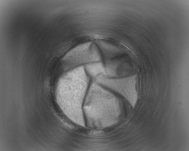 X0000082160410200702092223