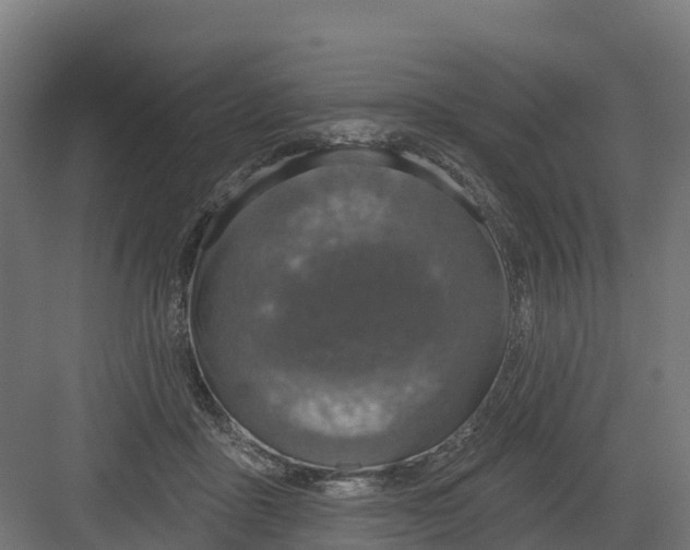 X0000082160411200702092223