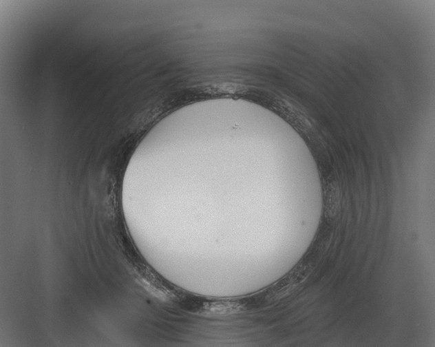 X0000082160414200702092223