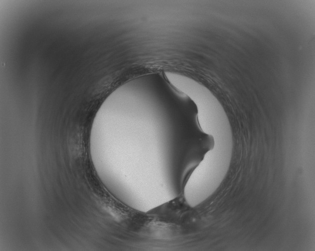 X0000082160416200702092223