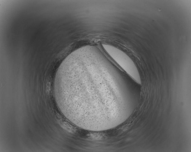 X0000082160417200702092223