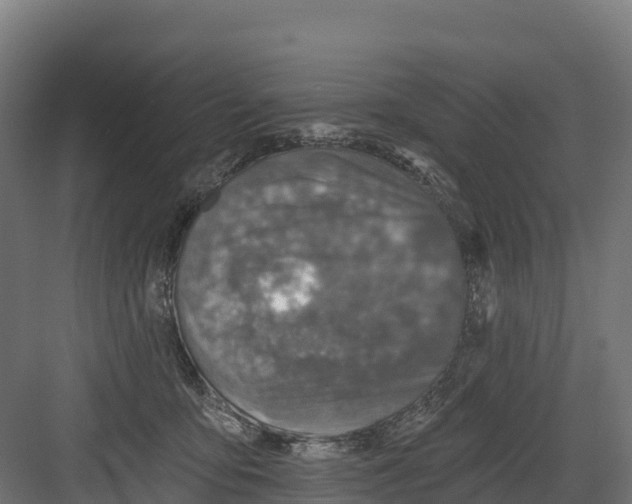 X0000082160419200702092223