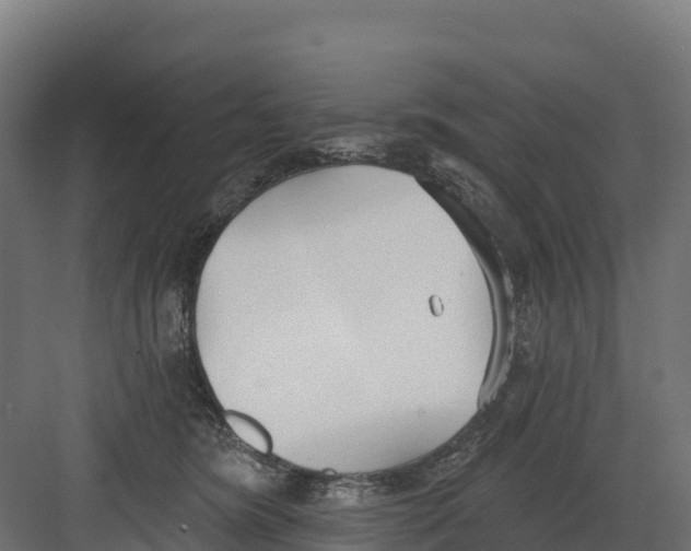 X0000082160420200702092223